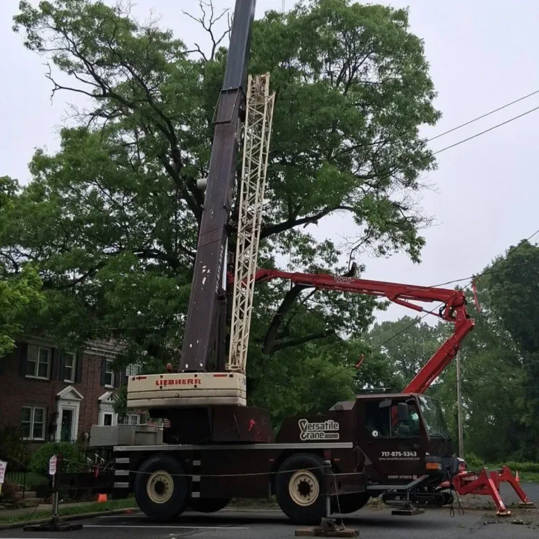 A dark red truck-mounted crane extends its articulated boom into a large tree canopy near a brick building on an overcast day.
