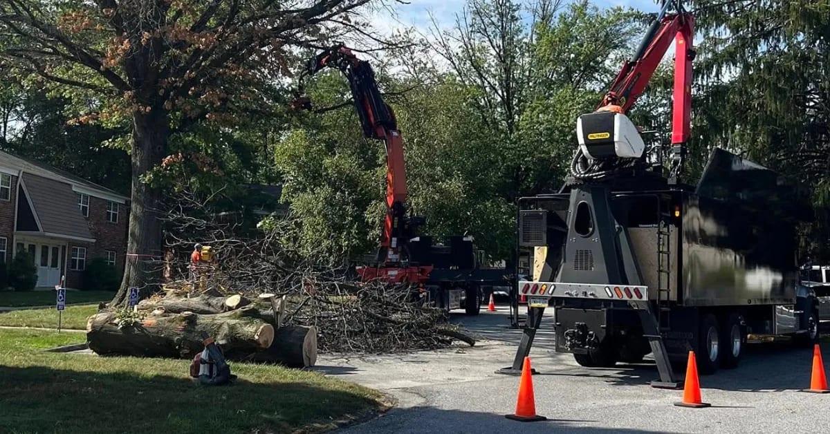 A grapple loader truck and a wood chipper work together at a residential site with cut logs and brush piled on the driveway.