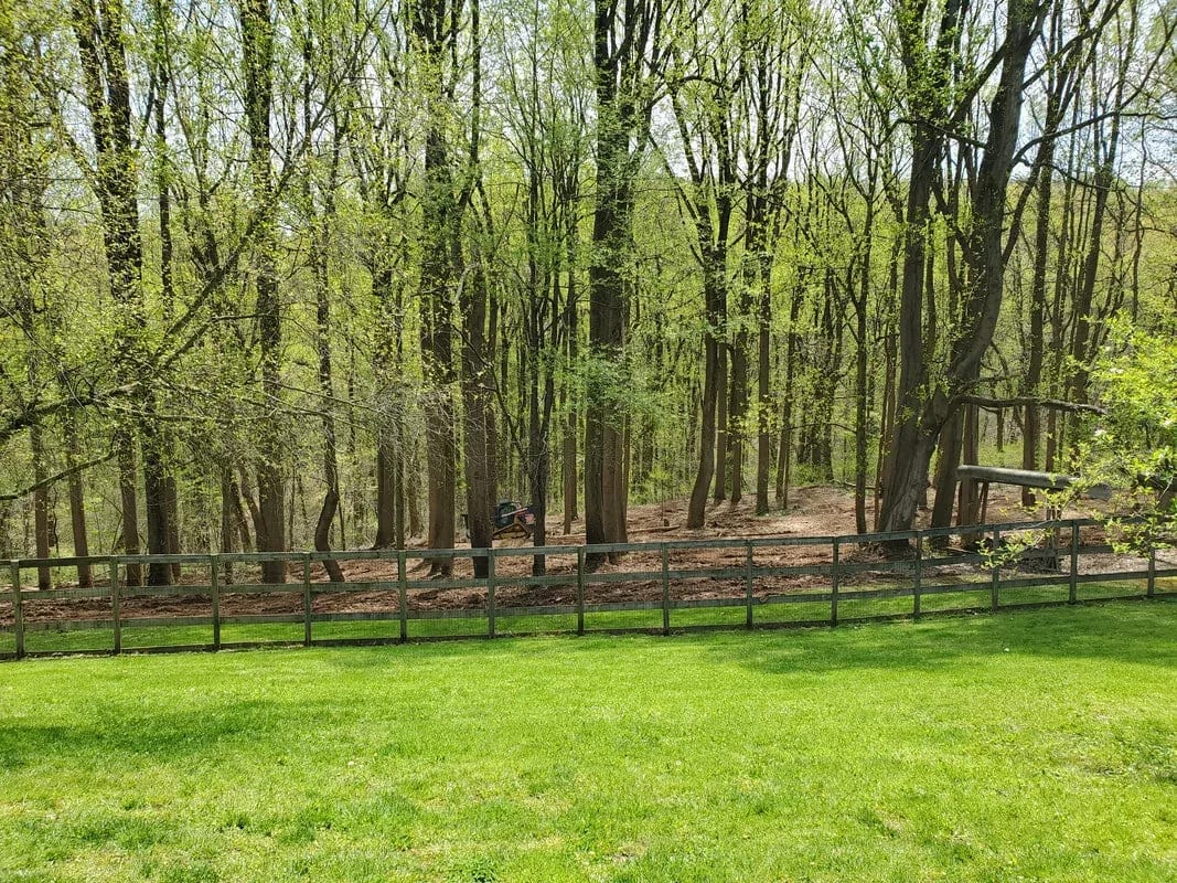 Cleared strip of woodland behind a post-and-wire fence, with a tracked mulching machine working among the trees.