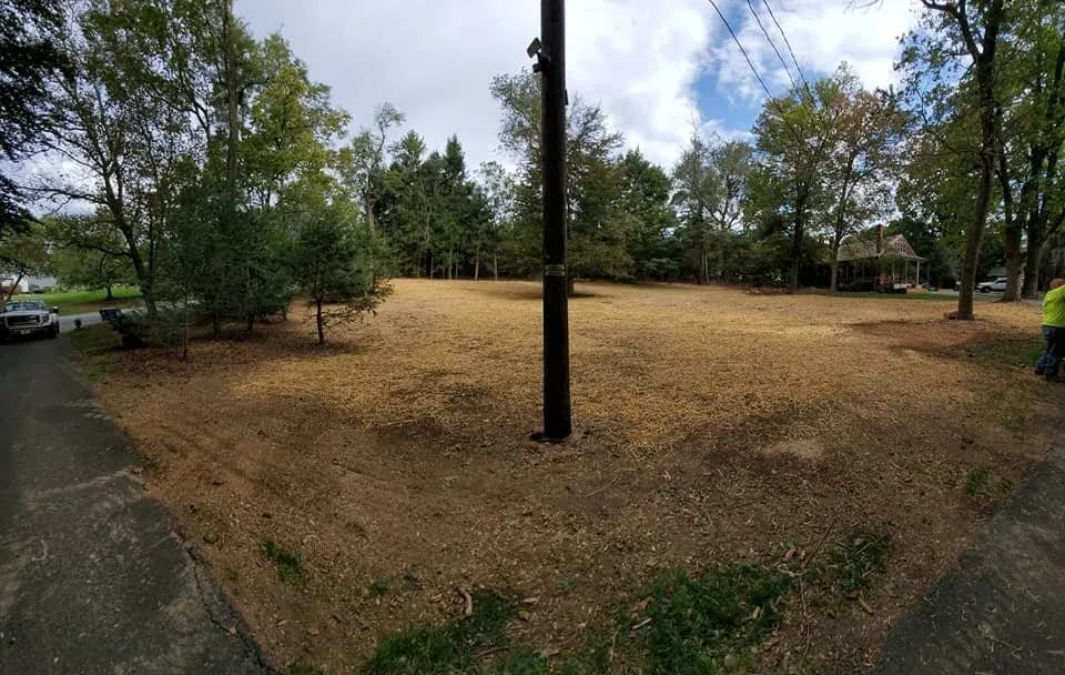 Open lot covered in fresh wood mulch after land clearing, with a utility pole and a work truck at the roadside.